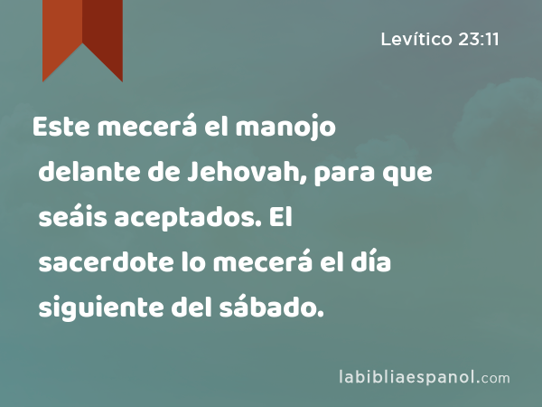 Este mecerá el manojo delante de Jehovah, para que seáis aceptados. El sacerdote lo mecerá el día siguiente del sábado. - Levítico 23:11