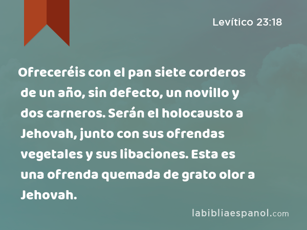 Ofreceréis con el pan siete corderos de un año, sin defecto, un novillo y dos carneros. Serán el holocausto a Jehovah, junto con sus ofrendas vegetales y sus libaciones. Esta es una ofrenda quemada de grato olor a Jehovah. - Levítico 23:18