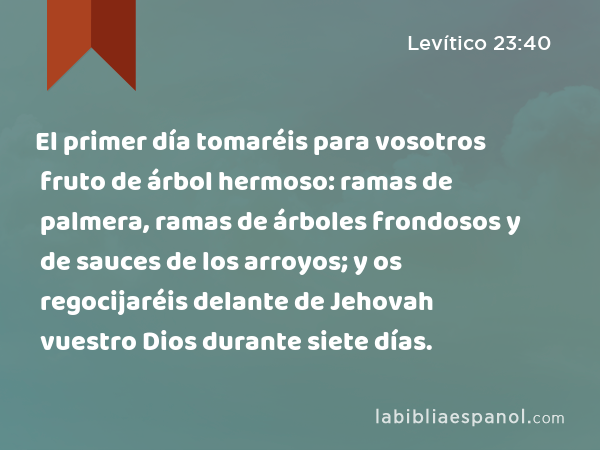 El primer día tomaréis para vosotros fruto de árbol hermoso: ramas de palmera, ramas de árboles frondosos y de sauces de los arroyos; y os regocijaréis delante de Jehovah vuestro Dios durante siete días. - Levítico 23:40