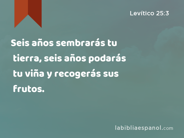 Seis años sembrarás tu tierra, seis años podarás tu viña y recogerás sus frutos. - Levítico 25:3