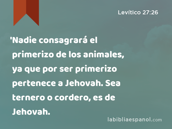 'Nadie consagrará el primerizo de los animales, ya que por ser primerizo pertenece a Jehovah. Sea ternero o cordero, es de Jehovah. - Levítico 27:26