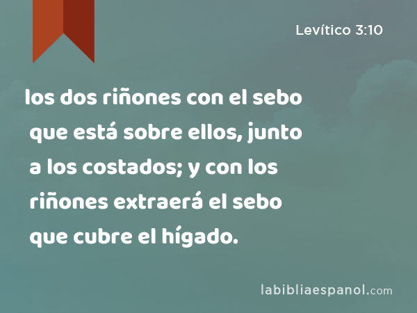 los dos riñones con el sebo que está sobre ellos, junto a los costados; y con los riñones extraerá el sebo que cubre el hígado. - Levítico 3:10