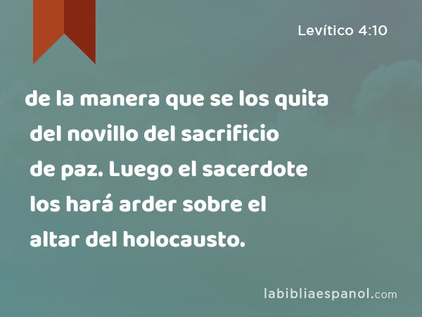 de la manera que se los quita del novillo del sacrificio de paz. Luego el sacerdote los hará arder sobre el altar del holocausto. - Levítico 4:10