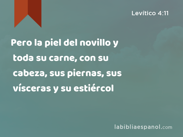 Pero la piel del novillo y toda su carne, con su cabeza, sus piernas, sus vísceras y su estiércol - Levítico 4:11