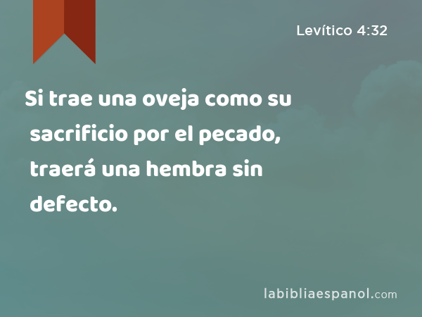 Si trae una oveja como su sacrificio por el pecado, traerá una hembra sin defecto. - Levítico 4:32