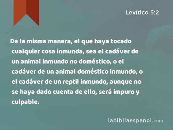 De la misma manera, el que haya tocado cualquier cosa inmunda, sea el cadáver de un animal inmundo no doméstico, o el cadáver de un animal doméstico inmundo, o el cadáver de un reptil inmundo, aunque no se haya dado cuenta de ello, será impuro y culpable. - Levítico 5:2