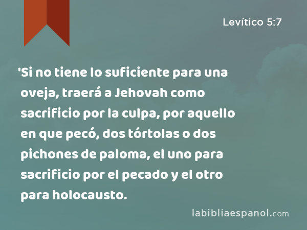 'Si no tiene lo suficiente para una oveja, traerá a Jehovah como sacrificio por la culpa, por aquello en que pecó, dos tórtolas o dos pichones de paloma, el uno para sacrificio por el pecado y el otro para holocausto. - Levítico 5:7