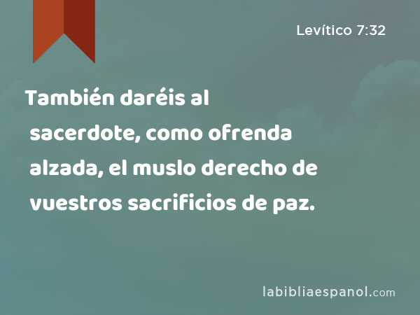 También daréis al sacerdote, como ofrenda alzada, el muslo derecho de vuestros sacrificios de paz. - Levítico 7:32