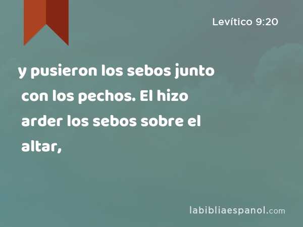 y pusieron los sebos junto con los pechos. El hizo arder los sebos sobre el altar, - Levítico 9:20