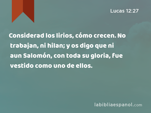 Considerad los lirios, cómo crecen. No trabajan, ni hilan; y os digo que ni aun Salomón, con toda su gloria, fue vestido como uno de ellos. - Lucas 12:27
