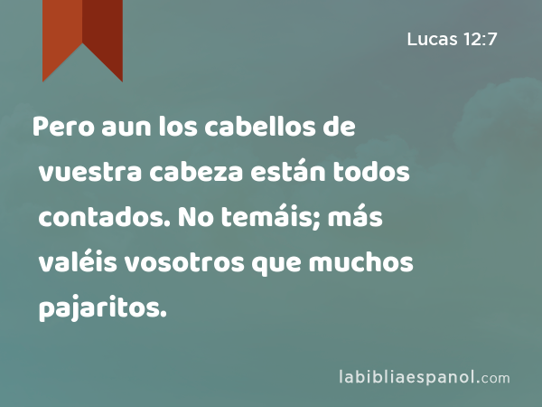 Pero aun los cabellos de vuestra cabeza están todos contados. No temáis; más valéis vosotros que muchos pajaritos. - Lucas 12:7