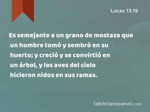 Es semejante a un grano de mostaza que un hombre tomó y sembró en su huerto; y creció y se convirtió en un árbol, y las aves del cielo hicieron nidos en sus ramas. - Lucas 13:19