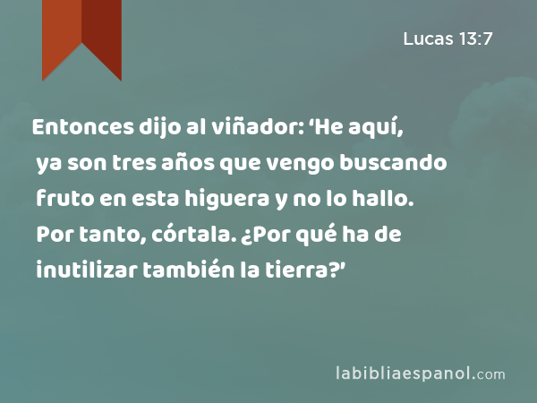 Entonces dijo al viñador: ‘He aquí, ya son tres años que vengo buscando fruto en esta higuera y no lo hallo. Por tanto, córtala. ¿Por qué ha de inutilizar también la tierra?’ - Lucas 13:7