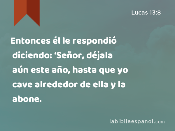 Entonces él le respondió diciendo: ‘Señor, déjala aún este año, hasta que yo cave alrededor de ella y la abone. - Lucas 13:8