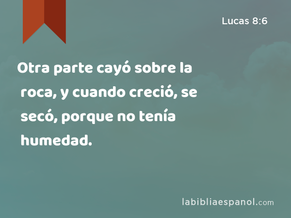 Otra parte cayó sobre la roca, y cuando creció, se secó, porque no tenía humedad. - Lucas 8:6