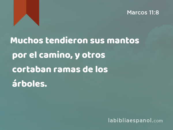 Muchos tendieron sus mantos por el camino, y otros cortaban ramas de los árboles. - Marcos 11:8