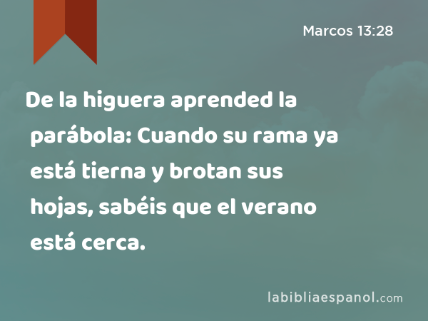 De la higuera aprended la parábola: Cuando su rama ya está tierna y brotan sus hojas, sabéis que el verano está cerca. - Marcos 13:28