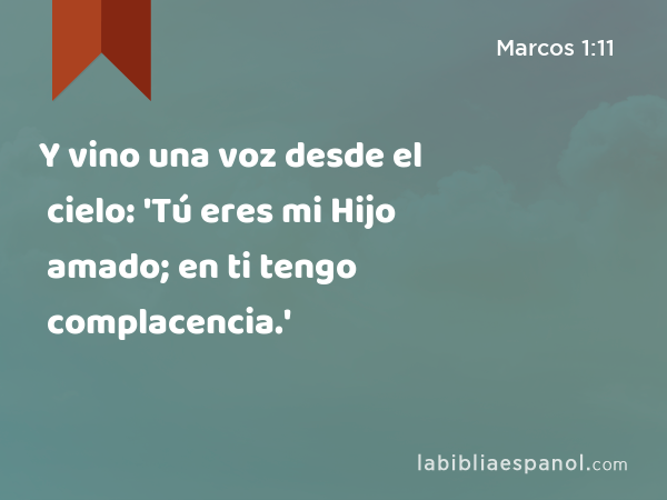 Y vino una voz desde el cielo: 'Tú eres mi Hijo amado; en ti tengo complacencia.' - Marcos 1:11