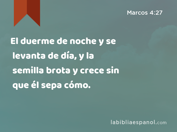 El duerme de noche y se levanta de día, y la semilla brota y crece sin que él sepa cómo. - Marcos 4:27