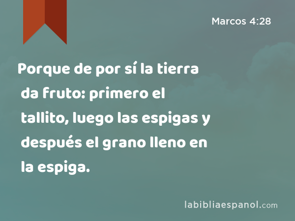 Porque de por sí la tierra da fruto: primero el tallito, luego las espigas y después el grano lleno en la espiga. - Marcos 4:28