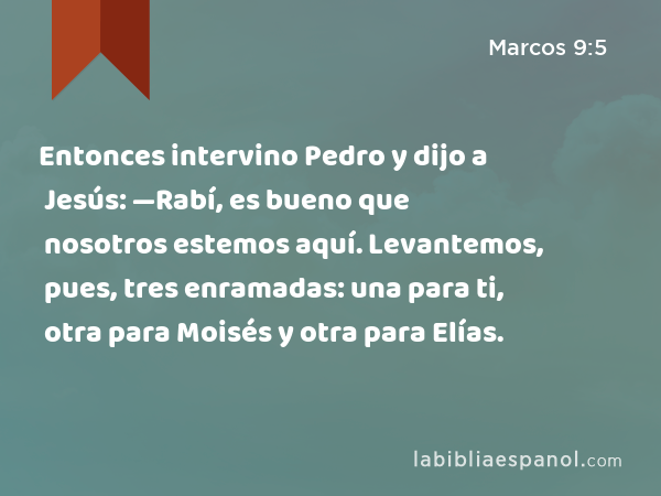 Entonces intervino Pedro y dijo a Jesús: —Rabí, es bueno que nosotros estemos aquí. Levantemos, pues, tres enramadas: una para ti, otra para Moisés y otra para Elías. - Marcos 9:5