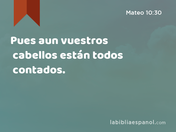 Pues aun vuestros cabellos están todos contados. - Mateo 10:30