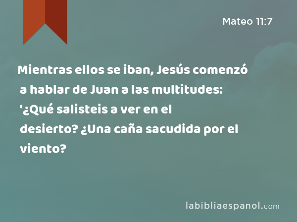 Mientras ellos se iban, Jesús comenzó a hablar de Juan a las multitudes: '¿Qué salisteis a ver en el desierto? ¿Una caña sacudida por el viento? - Mateo 11:7