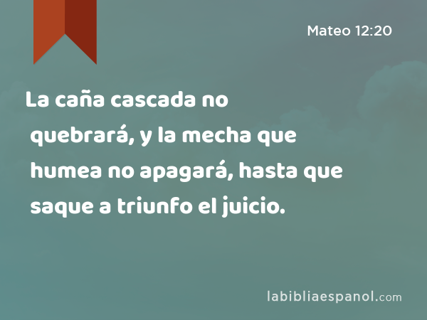 La caña cascada no quebrará, y la mecha que humea no apagará, hasta que saque a triunfo el juicio. - Mateo 12:20