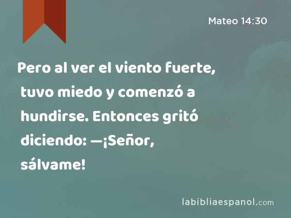 Pero al ver el viento fuerte, tuvo miedo y comenzó a hundirse. Entonces gritó diciendo: —¡Señor, sálvame! - Mateo 14:30