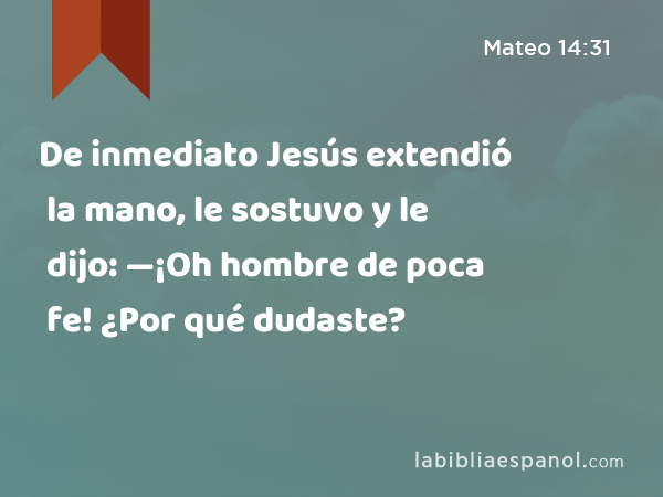 De inmediato Jesús extendió la mano, le sostuvo y le dijo: —¡Oh hombre de poca fe! ¿Por qué dudaste? - Mateo 14:31