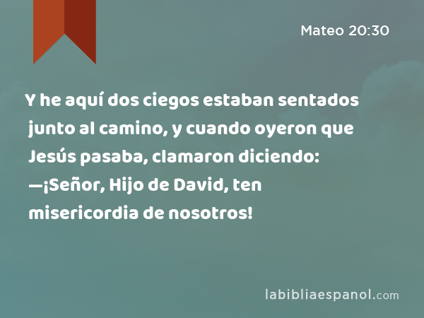 Y he aquí dos ciegos estaban sentados junto al camino, y cuando oyeron que Jesús pasaba, clamaron diciendo: —¡Señor, Hijo de David, ten misericordia de nosotros! - Mateo 20:30