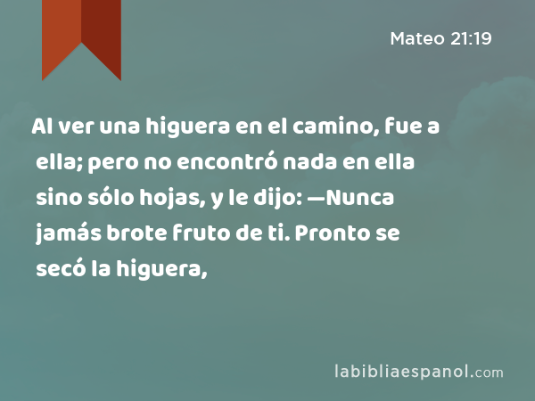 Al ver una higuera en el camino, fue a ella; pero no encontró nada en ella sino sólo hojas, y le dijo: —Nunca jamás brote fruto de ti. Pronto se secó la higuera, - Mateo 21:19