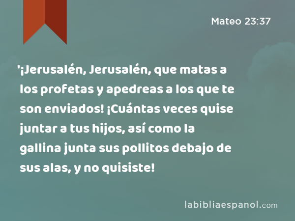 '¡Jerusalén, Jerusalén, que matas a los profetas y apedreas a los que te son enviados! ¡Cuántas veces quise juntar a tus hijos, así como la gallina junta sus pollitos debajo de sus alas, y no quisiste! - Mateo 23:37