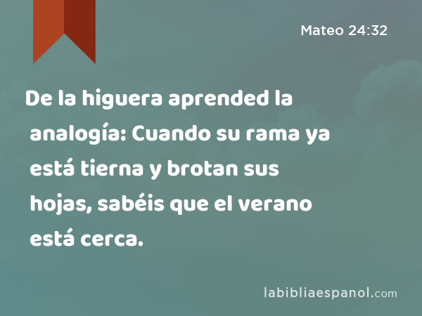 De la higuera aprended la analogía: Cuando su rama ya está tierna y brotan sus hojas, sabéis que el verano está cerca. - Mateo 24:32