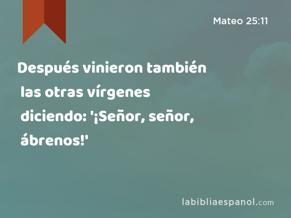 Después vinieron también las otras vírgenes diciendo: '¡Señor, señor, ábrenos!' - Mateo 25:11