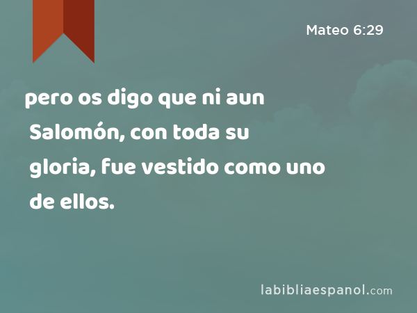 pero os digo que ni aun Salomón, con toda su gloria, fue vestido como uno de ellos. - Mateo 6:29