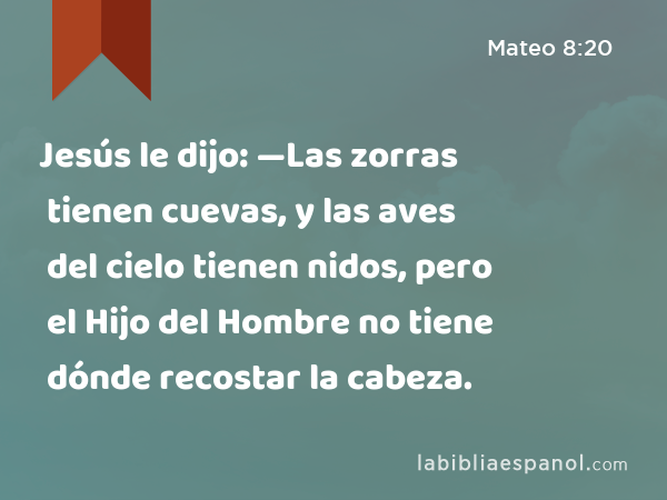 Jesús le dijo: —Las zorras tienen cuevas, y las aves del cielo tienen nidos, pero el Hijo del Hombre no tiene dónde recostar la cabeza. - Mateo 8:20