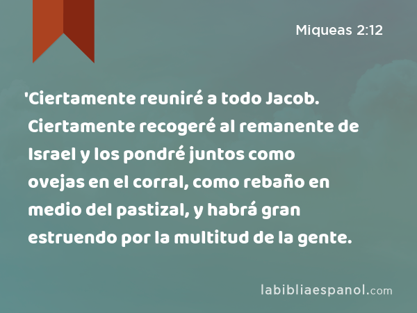 'Ciertamente reuniré a todo Jacob. Ciertamente recogeré al remanente de Israel y los pondré juntos como ovejas en el corral, como rebaño en medio del pastizal, y habrá gran estruendo por la multitud de la gente. - Miqueas 2:12