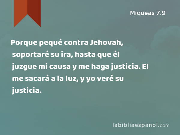 Porque pequé contra Jehovah, soportaré su ira, hasta que él juzgue mi causa y me haga justicia. El me sacará a la luz, y yo veré su justicia. - Miqueas 7:9