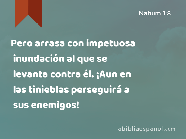 Pero arrasa con impetuosa inundación al que se levanta contra él. ¡Aun en las tinieblas perseguirá a sus enemigos! - Nahum 1:8