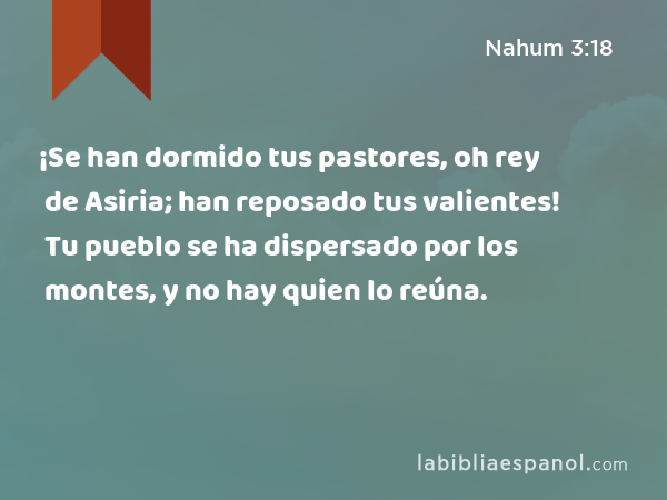 ¡Se han dormido tus pastores, oh rey de Asiria; han reposado tus valientes! Tu pueblo se ha dispersado por los montes, y no hay quien lo reúna. - Nahum 3:18