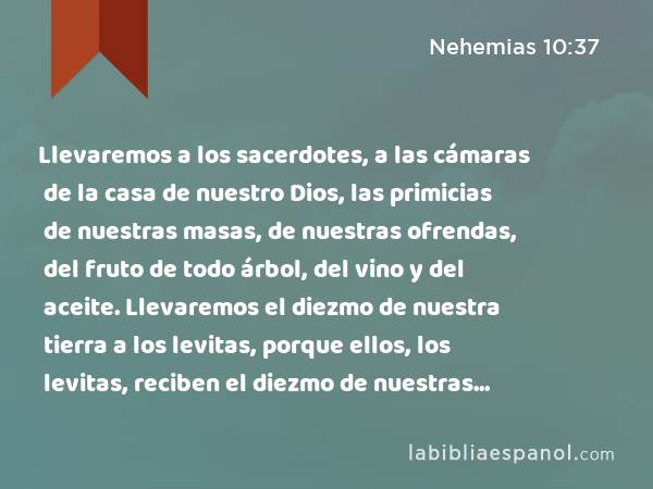 Llevaremos a los sacerdotes, a las cámaras de la casa de nuestro Dios, las primicias de nuestras masas, de nuestras ofrendas, del fruto de todo árbol, del vino y del aceite. Llevaremos el diezmo de nuestra tierra a los levitas, porque ellos, los levitas, reciben el diezmo de nuestras labores en todas las ciudades. - Nehemias 10:37