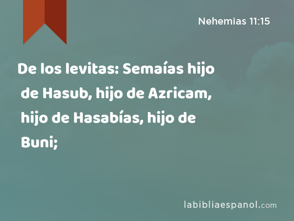 De los levitas: Semaías hijo de Hasub, hijo de Azricam, hijo de Hasabías, hijo de Buni; - Nehemias 11:15