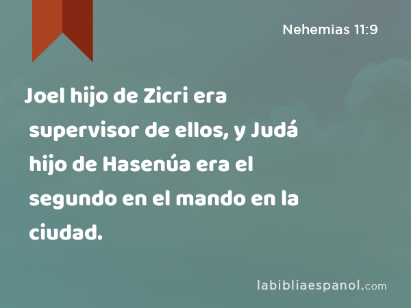 Joel hijo de Zicri era supervisor de ellos, y Judá hijo de Hasenúa era el segundo en el mando en la ciudad. - Nehemias 11:9
