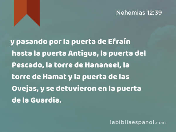 y pasando por la puerta de Efraín hasta la puerta Antigua, la puerta del Pescado, la torre de Hananeel, la torre de Hamat y la puerta de las Ovejas, y se detuvieron en la puerta de la Guardia. - Nehemias 12:39