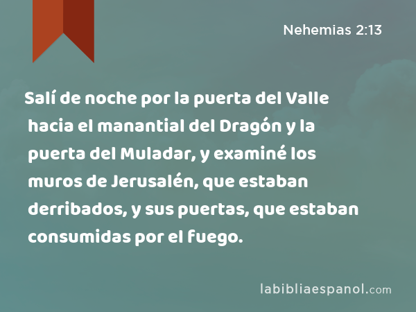 Salí de noche por la puerta del Valle hacia el manantial del Dragón y la puerta del Muladar, y examiné los muros de Jerusalén, que estaban derribados, y sus puertas, que estaban consumidas por el fuego. - Nehemias 2:13