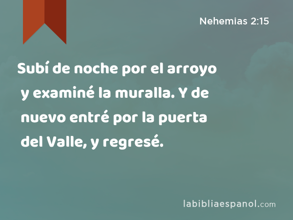 Subí de noche por el arroyo y examiné la muralla. Y de nuevo entré por la puerta del Valle, y regresé. - Nehemias 2:15