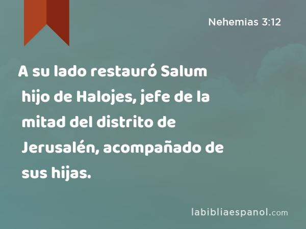 A su lado restauró Salum hijo de Halojes, jefe de la mitad del distrito de Jerusalén, acompañado de sus hijas. - Nehemias 3:12