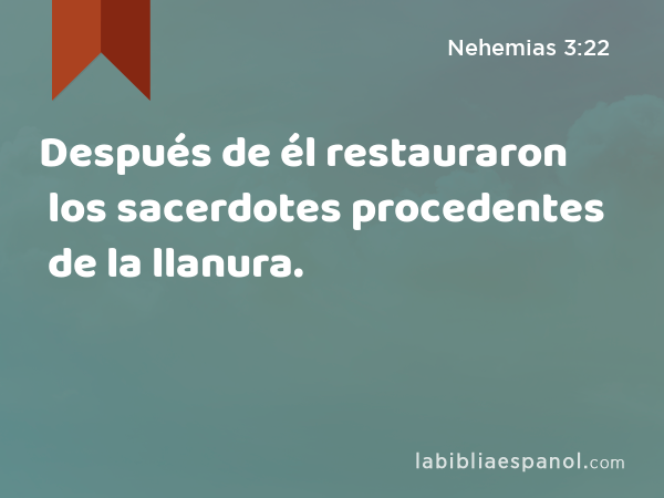 Después de él restauraron los sacerdotes procedentes de la llanura. - Nehemias 3:22