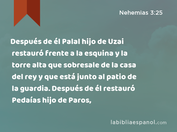 Después de él Palal hijo de Uzai restauró frente a la esquina y la torre alta que sobresale de la casa del rey y que está junto al patio de la guardia. Después de él restauró Pedaías hijo de Paros, - Nehemias 3:25